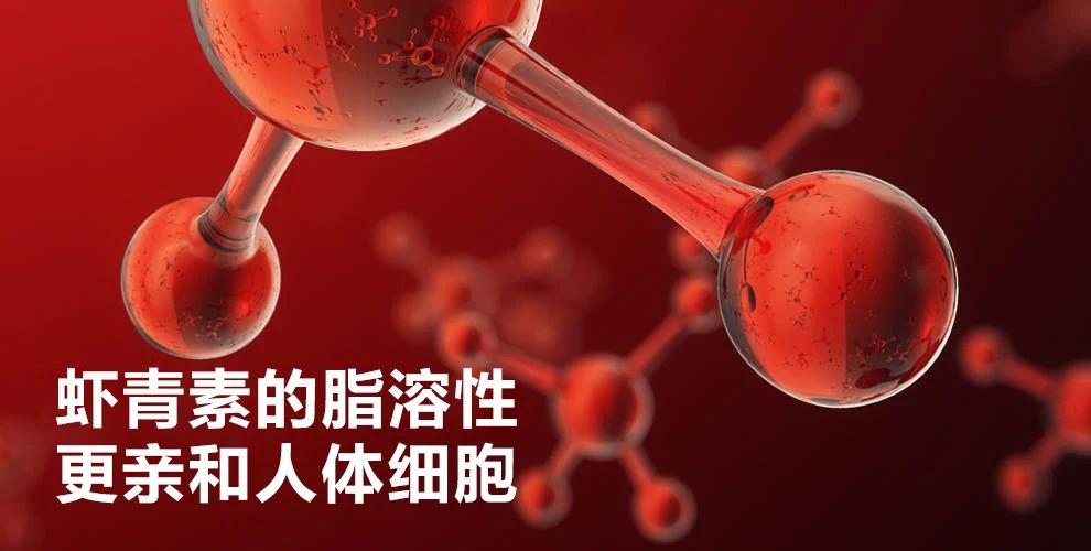 艾诗特虾青素
