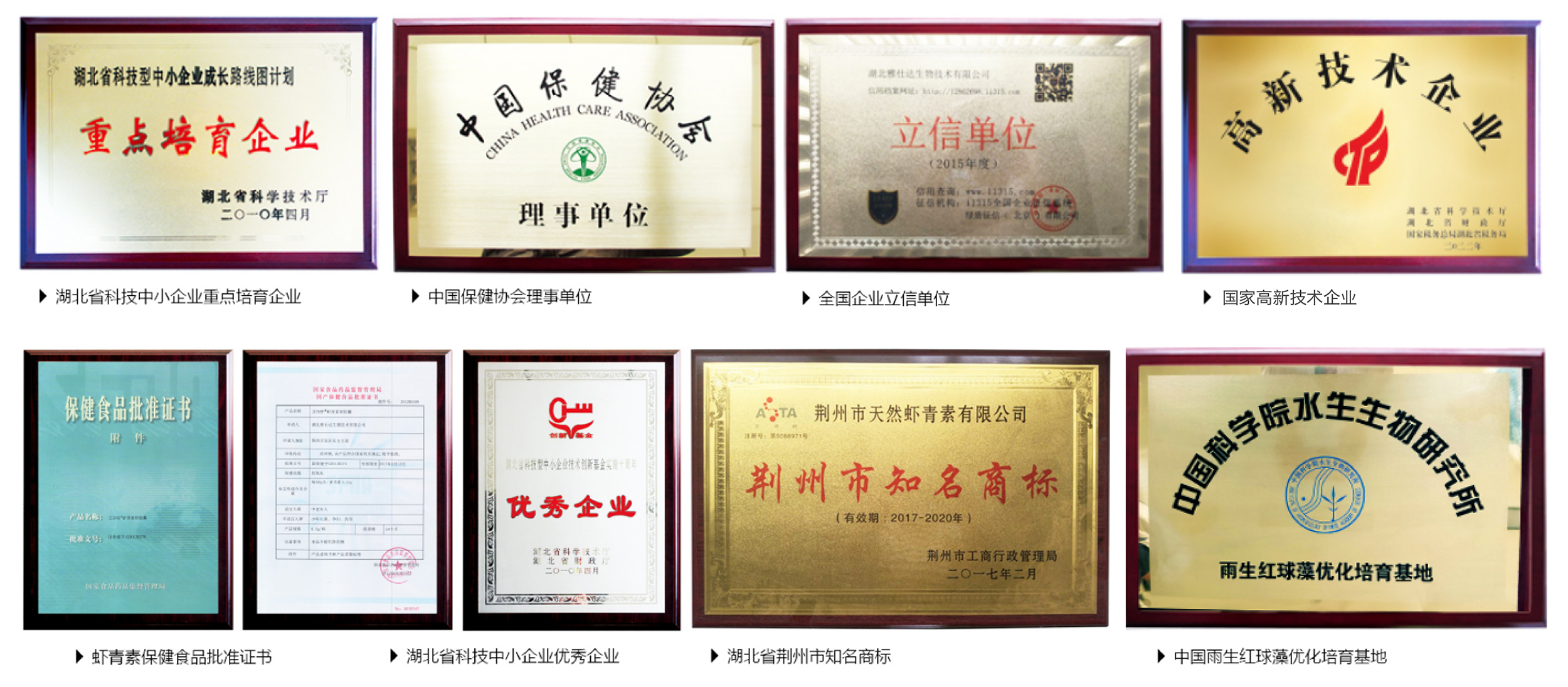 艾诗特虾青素