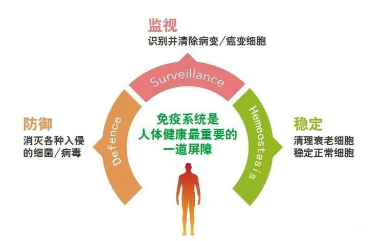 艾诗特虾青素