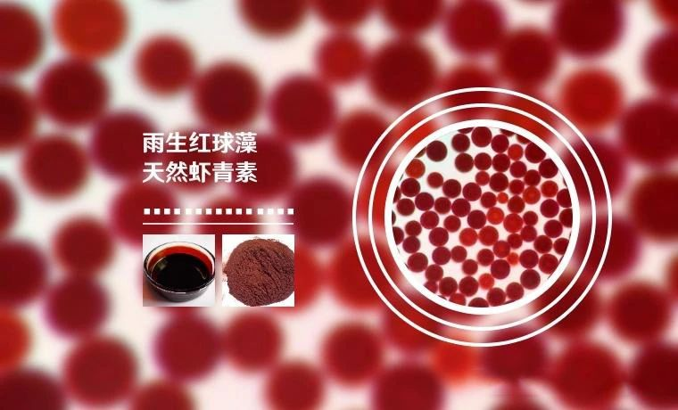 艾诗特虾青素