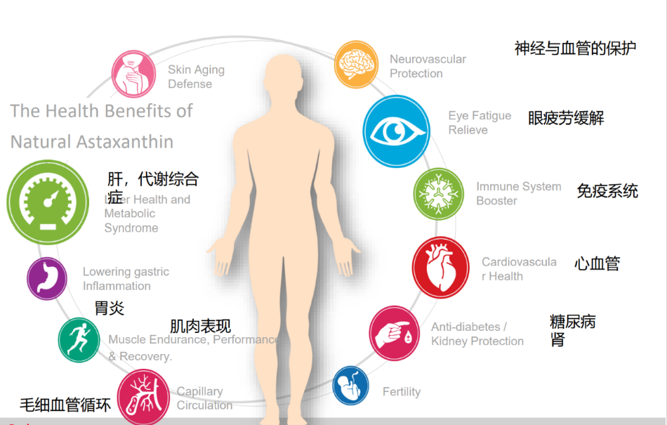 艾诗特虾青素