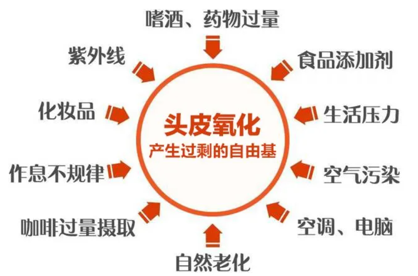 艾诗特虾青素