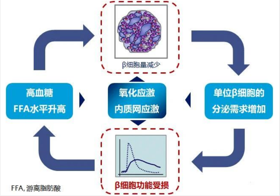 艾诗特虾青素