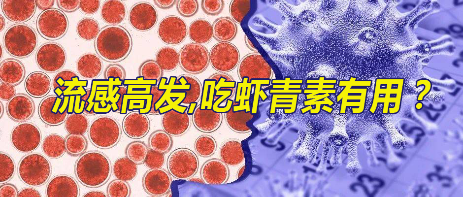 艾诗特虾青素 艾诗特虾青素