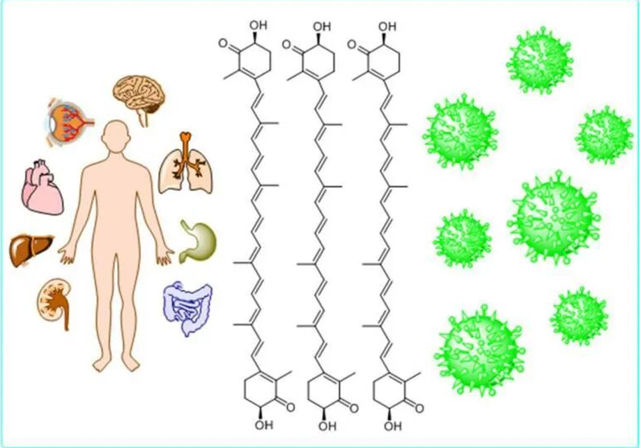 艾诗特虾青素 艾诗特虾青素