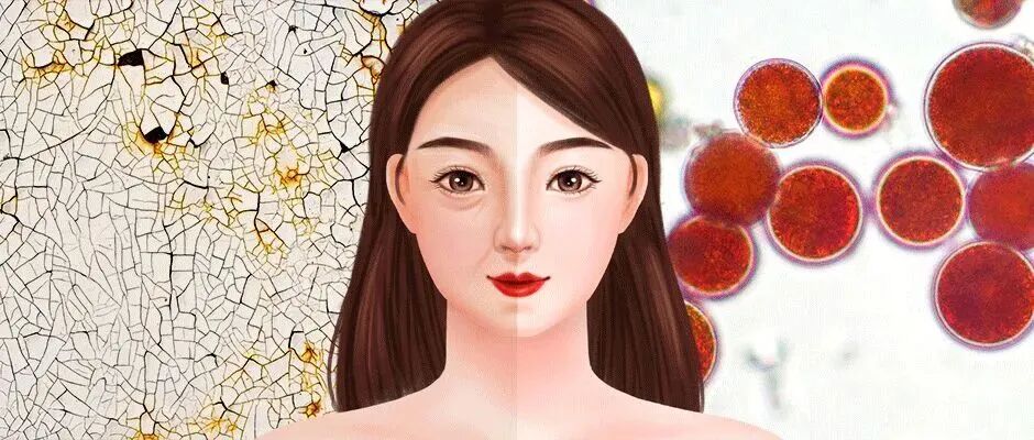 艾诗特虾青素