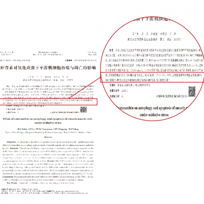 虾青素对氧化应激下平滑肌细胞自噬与凋亡的影响