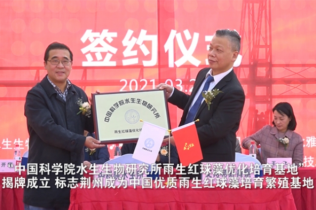 中国科学院水生物研究所雨生红球藻培育基地