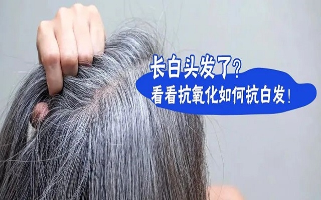 防治白发要从抗氧化开始？