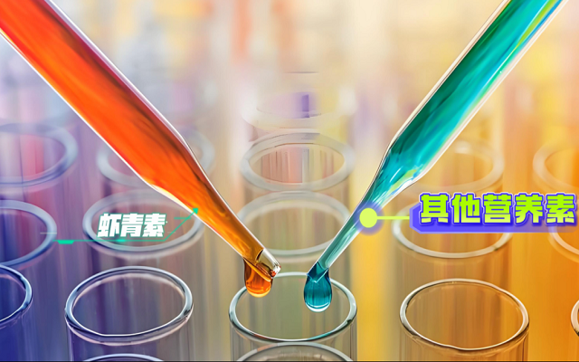 天然虾青素的6大“黄金组合”