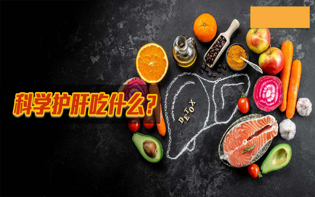 科学护肝吃什么？